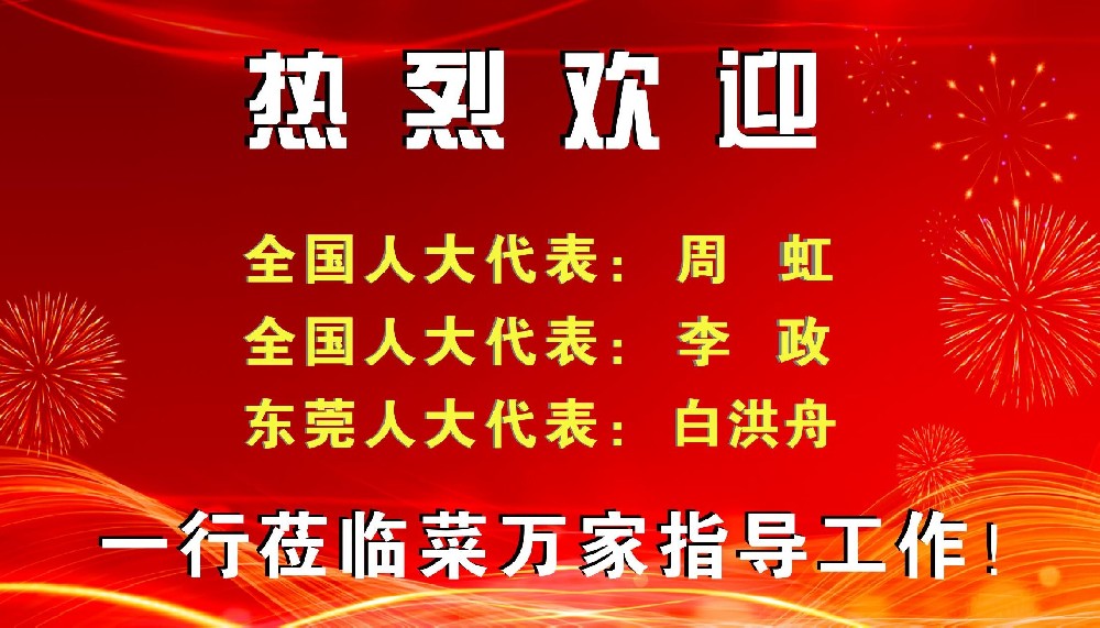 热烈欢迎全国人大代表、东莞市人大代表莅临菜万家参观指导