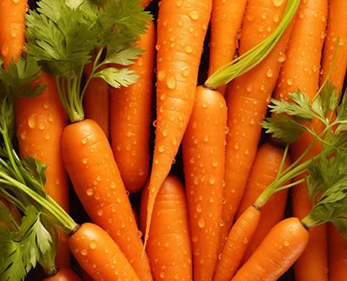 “中学食堂涉及上千名师生的用餐安全，菜万家的专车配送全程可追溯，食材检测报告随货附上，家长和学校都很放心，而且每天早高峰前必到，完全不影响早餐供应。”