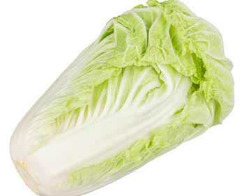 “我们对食材的新鲜度和品质要求很高，菜万家的专车直送能保障叶菜类食材当天采收当天送达，口感鲜嫩，孩子们的剩菜率都下降了。”