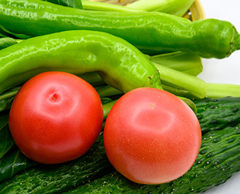 “养老机构的餐食要兼顾安全和软烂度，菜万家的专车配送能根据我们的需求提前分拣食材，减少后厨处理时间，而且食材新鲜无农药残留，老人们吃得安心。”