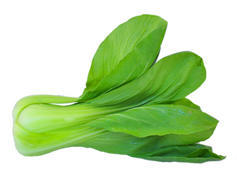 “幼儿园的食材安全是家长最关心的事。菜万家的专车配送不仅准时，每批食材都附带检测报告，而且会根据孩子的需求提前分拣去根去茎，后厨处理更省心，家长群里再也没有过质疑。”