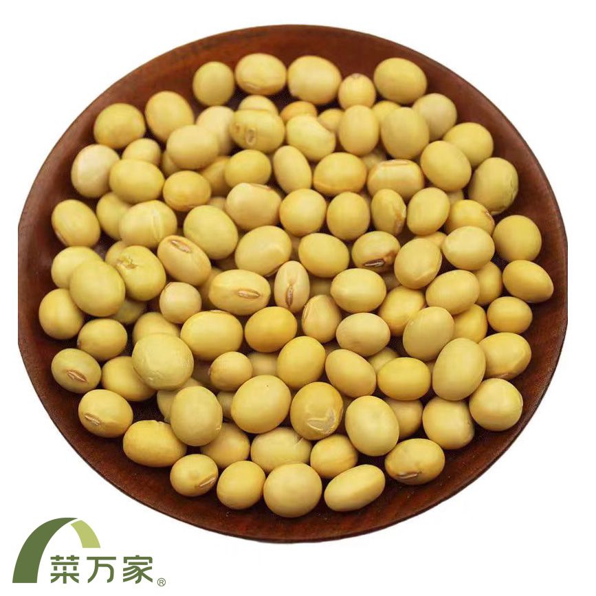 大粒黄豆