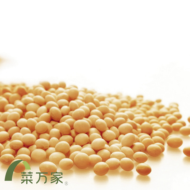 黄豆