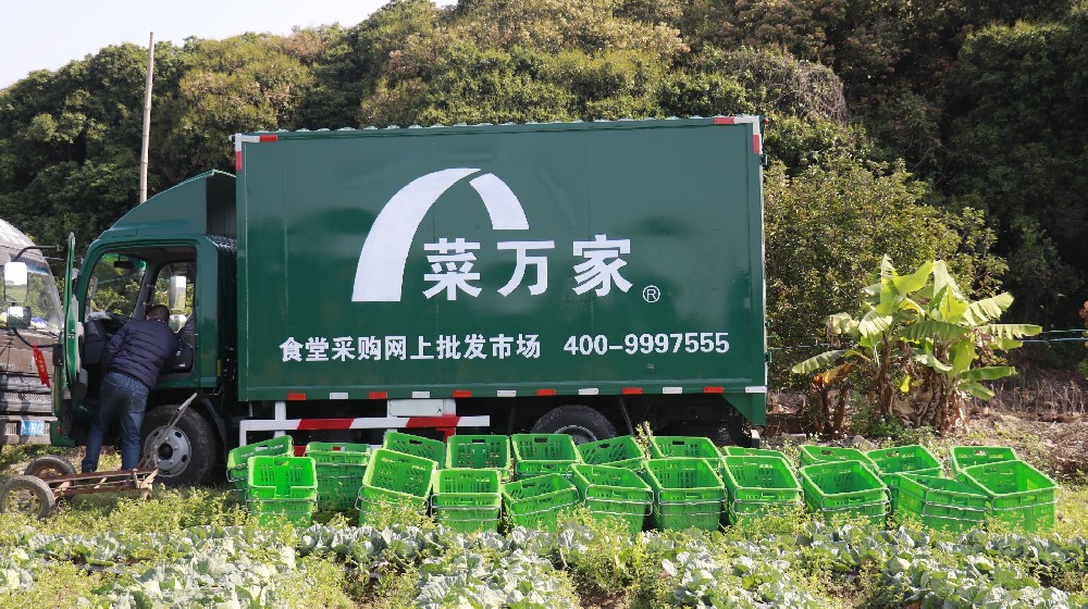 蔬菜基地直采